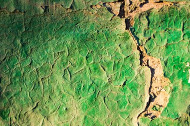 Yeşil dökülüyor tuğla