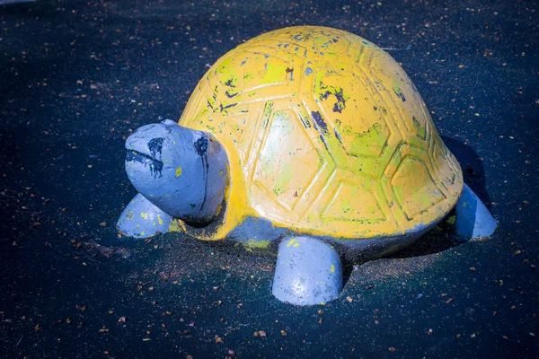 Tortuga de hormigón amarillo — Foto de Stock