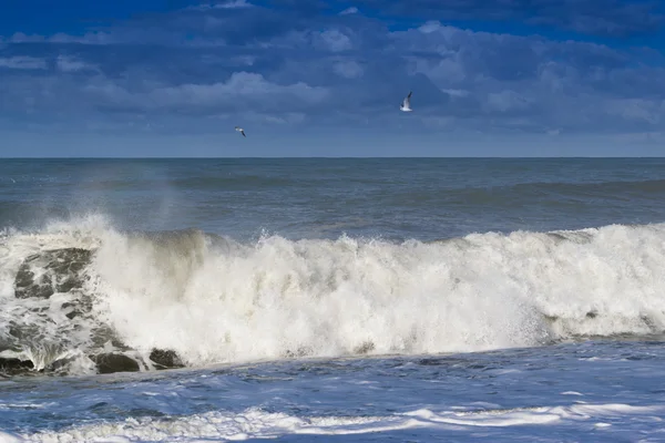 Vagues de rupture et goélands — Photo