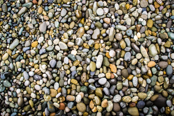 Wet Stones and Pebbles — Stock Photo, Image