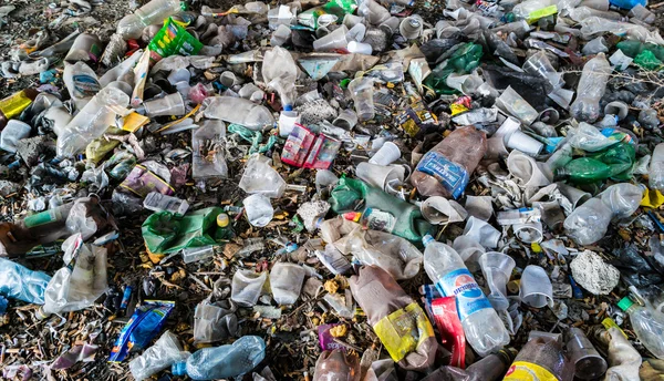 Dibuang Botol Plastik — Stok Foto