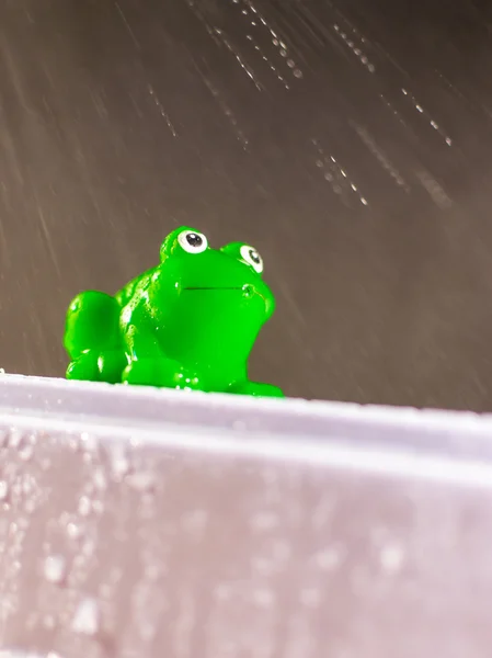 Sapo verde plástico na chuva — Fotografia de Stock