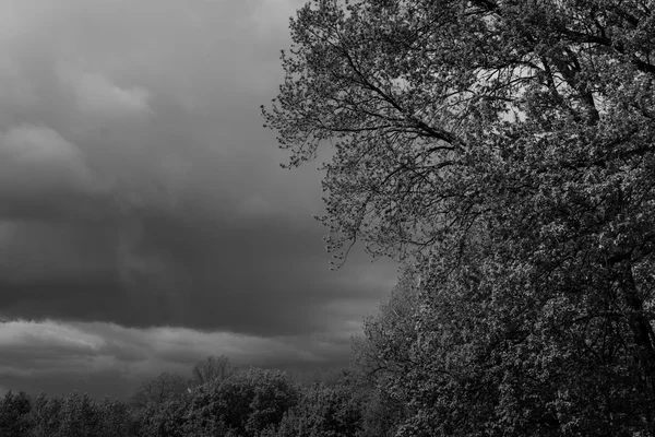 Nuvens de árvores verdes e tempestades — Fotografia de Stock