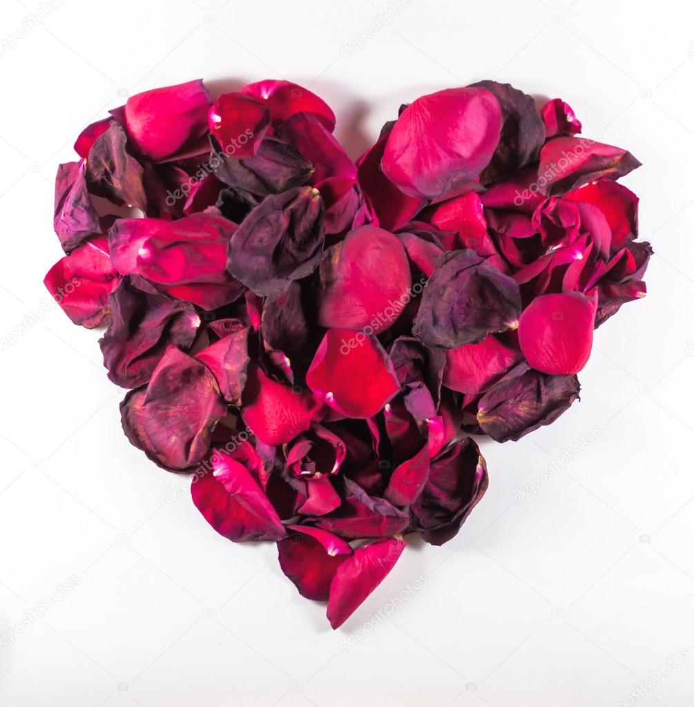 Heart Shaped Dying Rose Petal Pattern 
