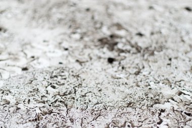 beyaz soyut toprak yüzeyinde