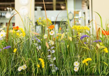 yapay plastik ağaçlar çiçek görüntülemek