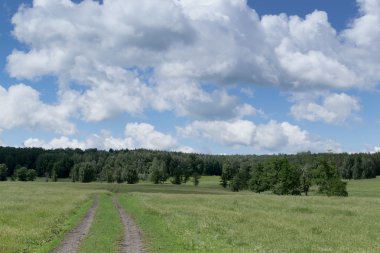 Bir ormana giden tek parça