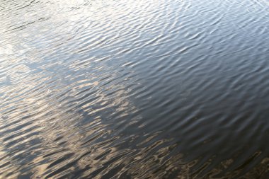 Bir Köy Gölet üzerinde Su Ripples