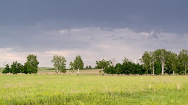 Köy tepeler ve hayvan sürüsü
