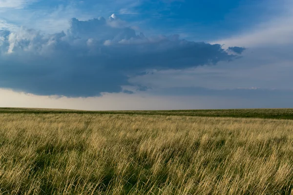 Hay Grass and Stormy Sky — Stock Photo, Image