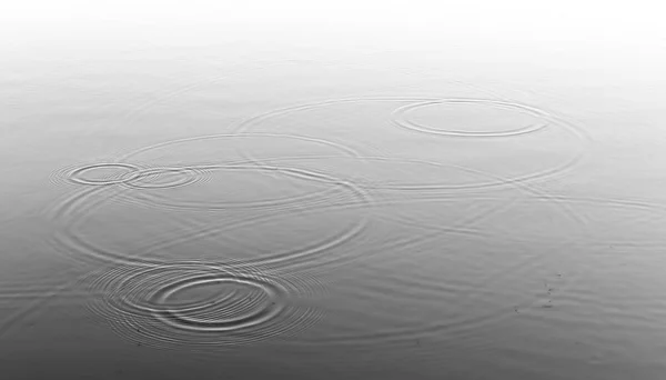Капли дождя и речки на поверхности воды — стоковое фото
