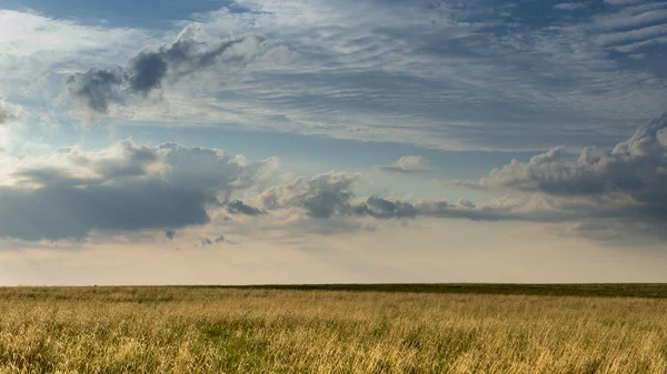 Travní seno a bouřlivá obloha — Stock fotografie