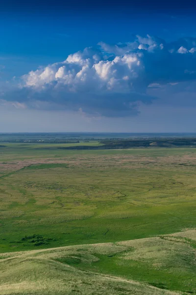 Village Hills és egy csorda, az állatok — Stock Fotó