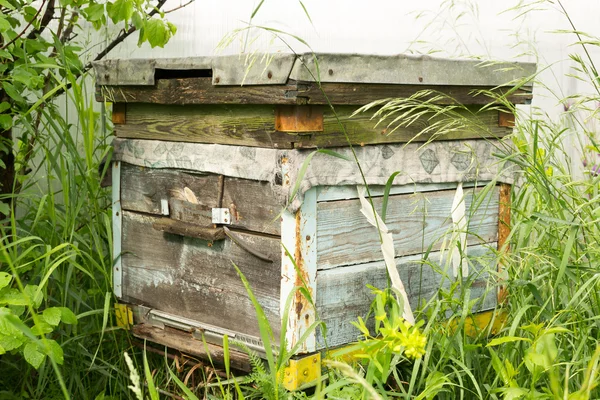 Single Traditional Wooden Beehive — Stock Photo, Image