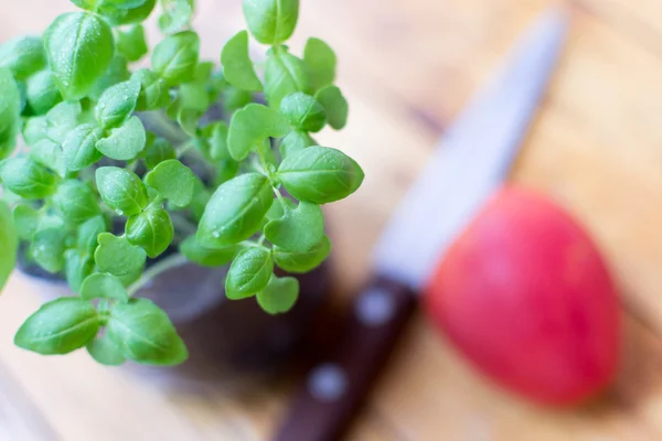 Basil Plant Knife and Tomato on Rustic Wood — Stock Photo, Image