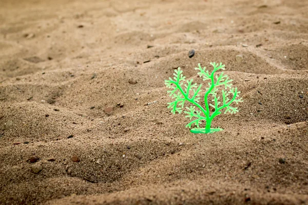 Green Plastic Tree in Sand — Stock Photo, Image