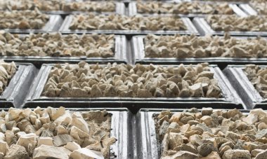 Bölümlerde kaba taş bir binanın dış olarak