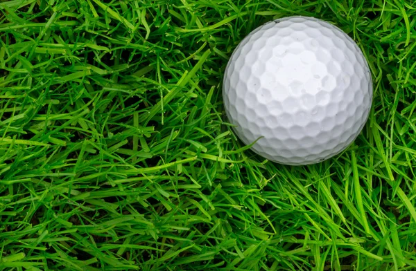 Colocación de una sola bola de golf en semi áspero —  Fotos de Stock