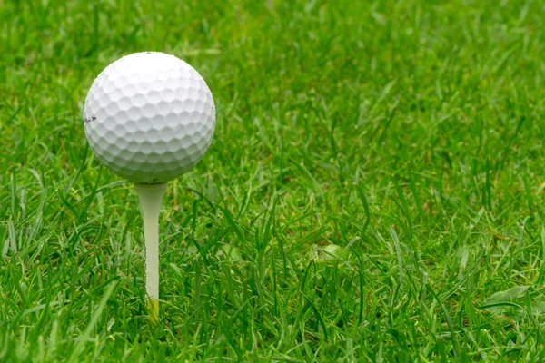 Single Golf Ball Balancing on a Tee — Stock Photo, Image