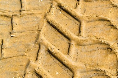 Araç Lastiği Çamur Baskılar