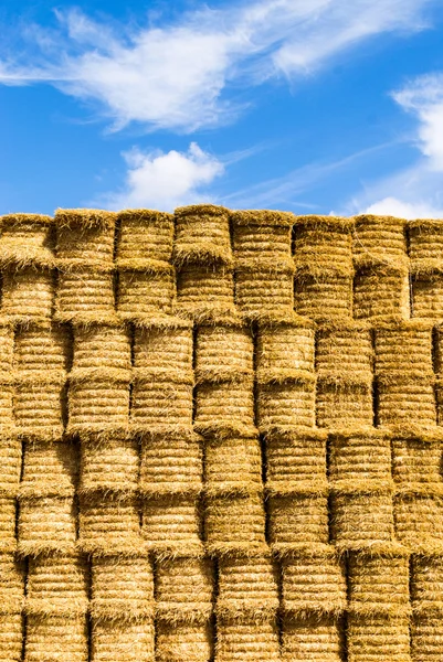 Skládané kolo Strawbales — Stock fotografie