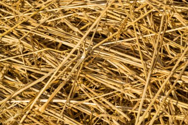 Taze gevşek Thatch hasır malzeme