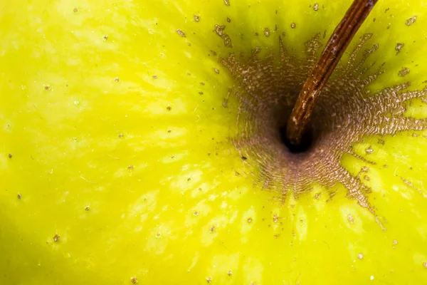 Makro obrázek žluté jablko stonku — Stock fotografie