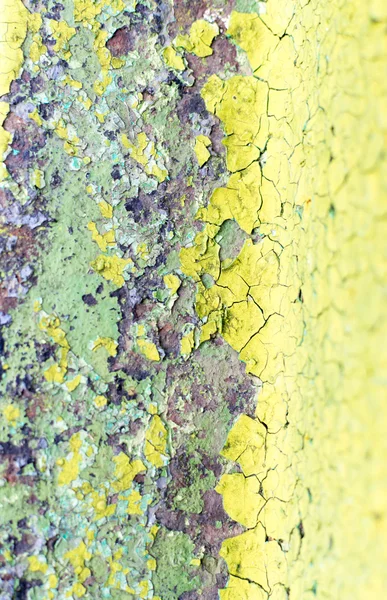 Closeup de tinta verde Flaking — Fotografia de Stock