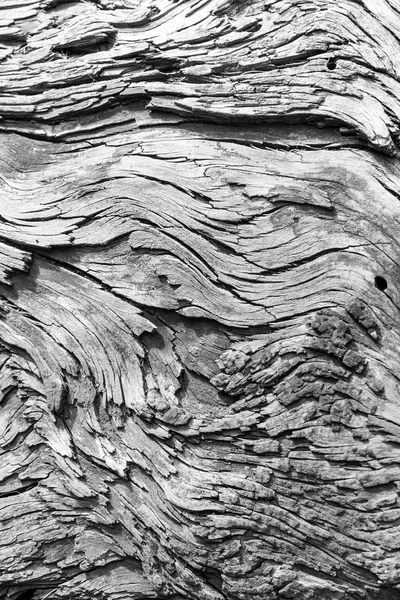 Wooden Texture — Stock Photo, Image