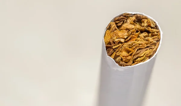 Macro closeup  of a Cigarette End — Stock Photo, Image