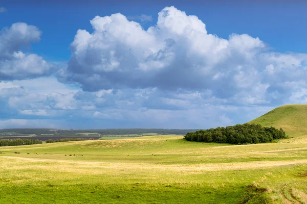 Wood Copse on a Hill — Stock Photo, Image