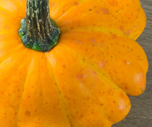 Close-up van pompoen — Stockfoto