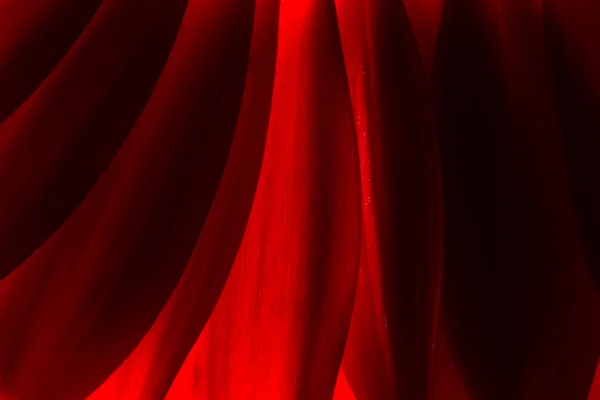 Червоний анотація краплині пелюстки — стокове фото