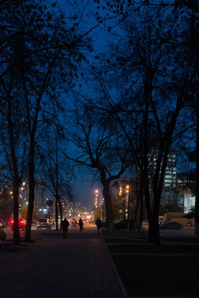 Árbol de la ciudad al anochecer —  Fotos de Stock