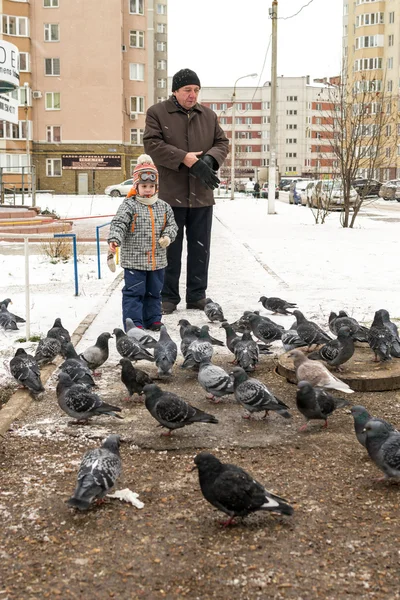 İnsan ve Torun Besleme Güvercinler