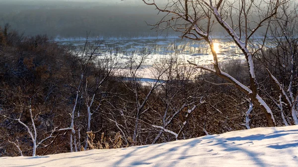 Vintertid sol snö och träd — Stockfoto