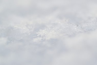 Beyaz Doğada Taze Kış Kar Taneleri