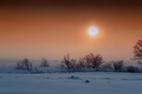 Apelsin vinter solnedgång snö och natur — Stockfoto