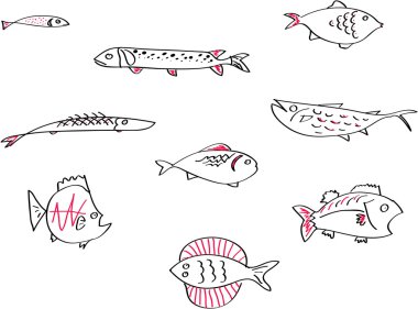 Balık türleri kroki