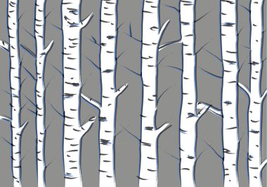 Huş ağaçları arka plan