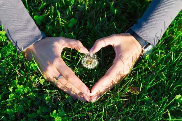 Ręce w trawie w formie serca. — Zdjęcie stockowe