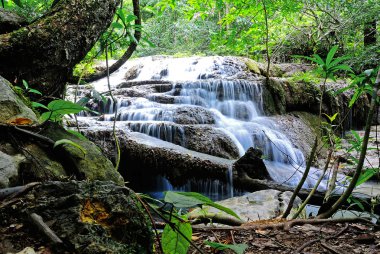 Vahşi yeşil orman içinde kristal berraklığında su ile Tayland çok düzeyli şelale