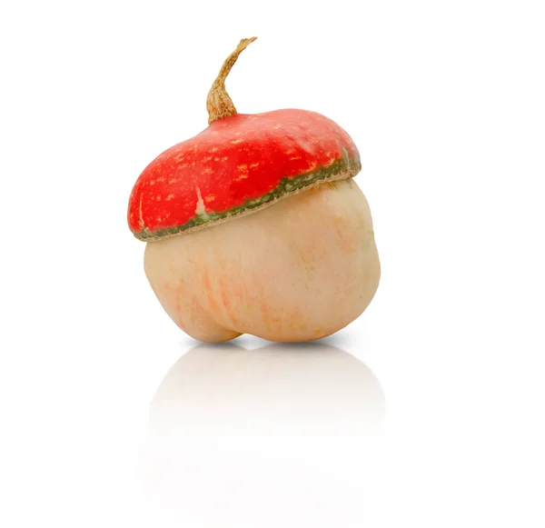 Beyaz arka planda dekoratif balkabağı, izole edilmiş balkabağı