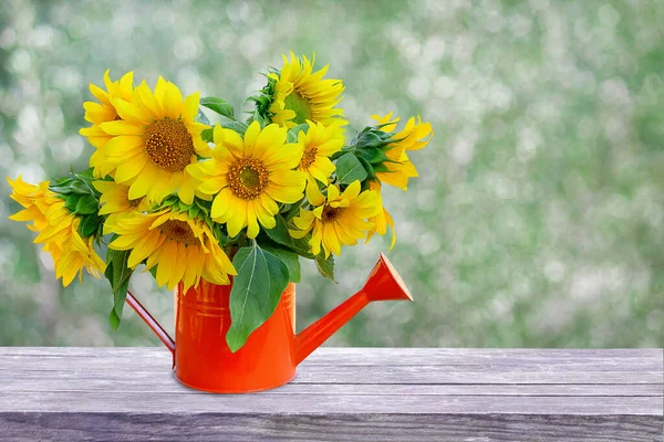 Strauß Sonnenblumen Natürlicher Hintergrund Mit Kopierraum — Stockfoto