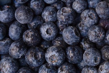 Su damlasıyla kaplı yaban mersinli arka plan