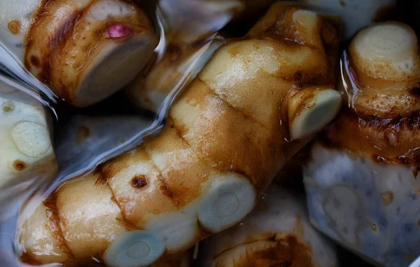 İşlemden önce suya batırılmış ok kökü