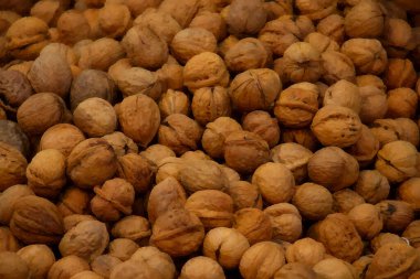 ceviz meyvelerinin dijital tablosu