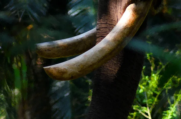 Digital Painting Tusk Elephant — Stock Photo, Image