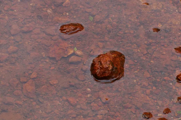 Červené Kameny Vytvořené Vzor Vodě — Stock fotografie