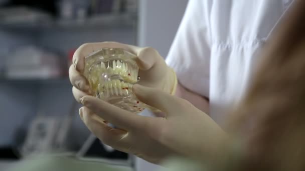 Tandläkare visar käken layout till patient kvinna — Stockvideo